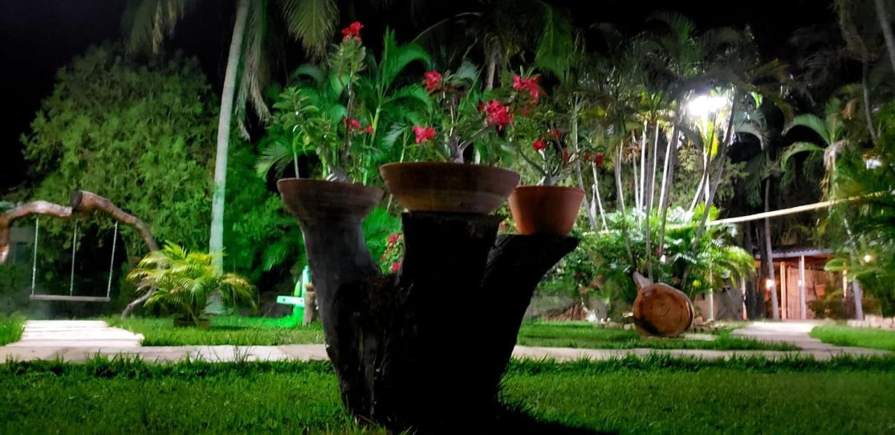 Pousada Recanto Dos Passaros Balsas エクステリア 写真