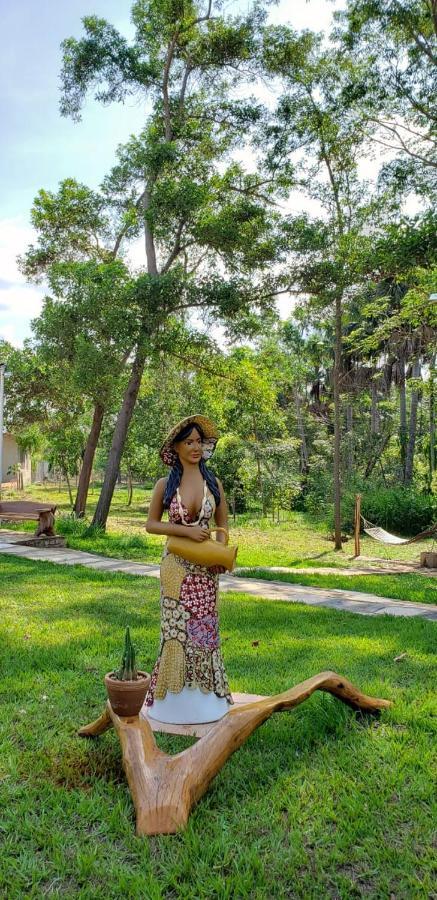 Pousada Recanto Dos Passaros Balsas エクステリア 写真