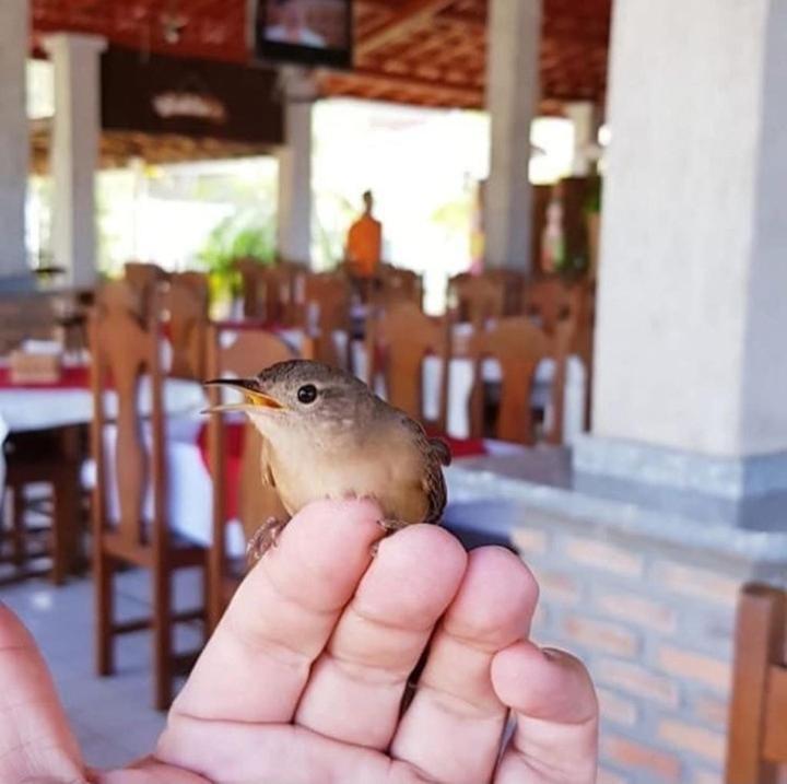Pousada Recanto Dos Passaros Balsas エクステリア 写真